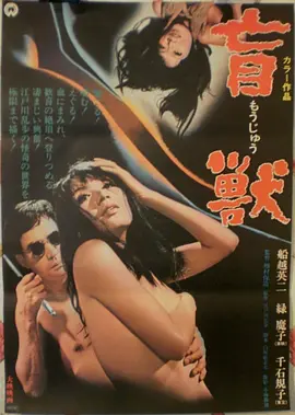 周末完整档剧情片封面